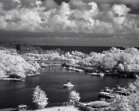 Framed St. Lucia Print