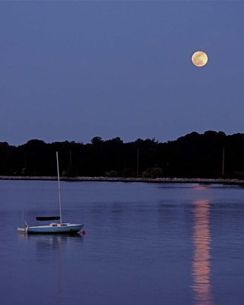 Framed Quiet Cove Print