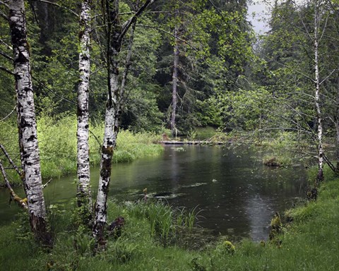 Framed 238 Olympic NP Print
