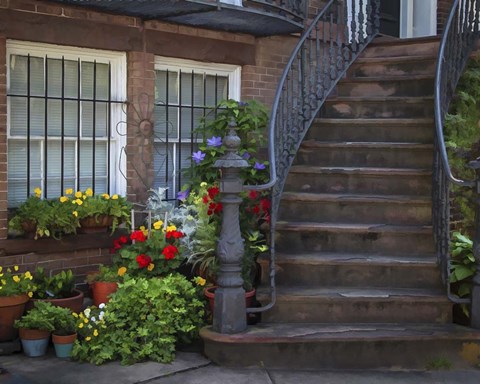 Framed Townhouse Steps Print