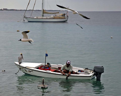 Framed Bonaire 3 Print