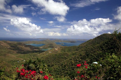 Framed St Johns 3 Print