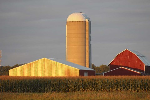 Framed Barn &amp; Silo Print