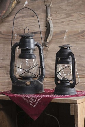 Framed Vintage Lamps Print