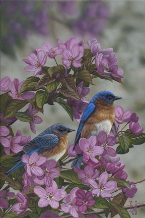 Framed Bluebirds &amp; Spring Blossoms Print