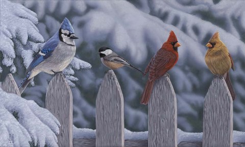 Framed Winter Birds Print
