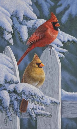 Framed Snow Cardinals Print