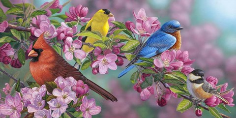 Framed Songbird Colors Print