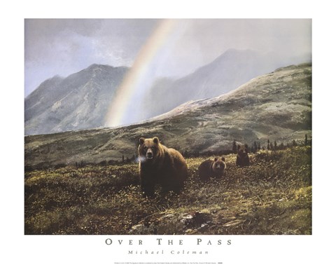 Framed Over The Pass Print