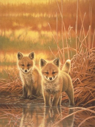 Framed Feeling Of Spring Print