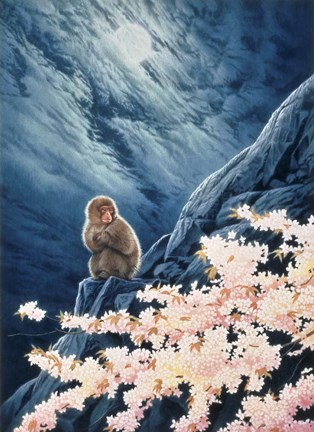 Framed Spring - Cherry Blossoms Print