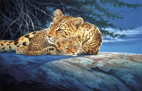 Framed Sunlight Filtering Print