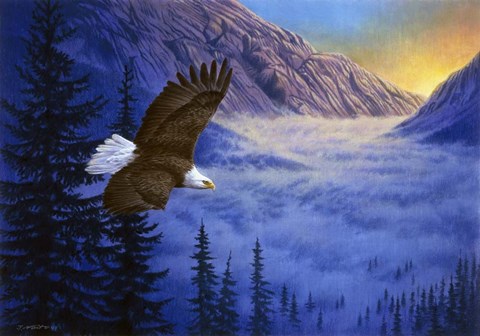 Framed Soaring High Print