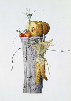 Framed Autumn Elements Print