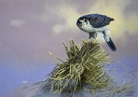 Framed On Guard Print