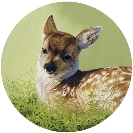 Framed Soft Light Print