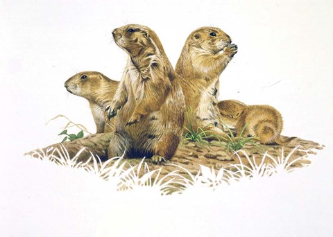 Framed Group Outing Print