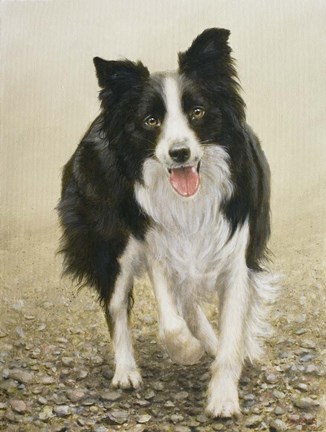 Framed Attention Seeker Print