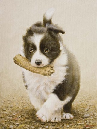 Framed Fetching Print