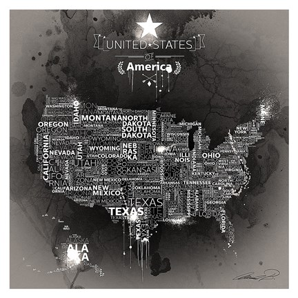 Framed USA Map EBONY Print