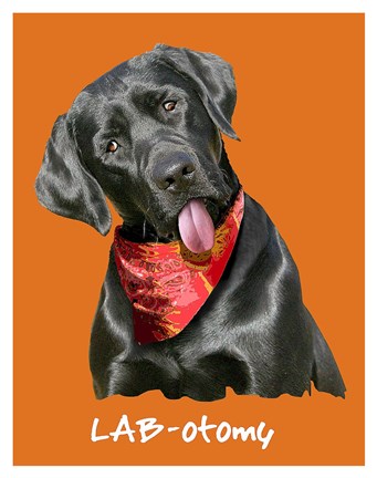 Framed Lab-otomy Print