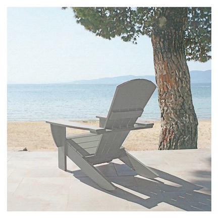 Framed Beyond the Pine Print