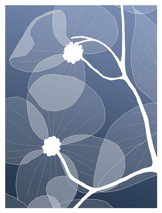 Framed Floral 2 Print