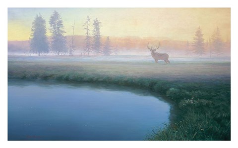 Framed Yellowstone Mist Print