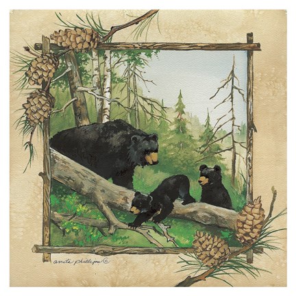 Framed Black Bear &amp; Cubs Print
