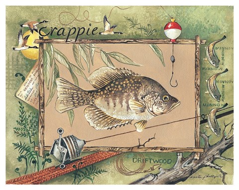 Framed Crappie Print