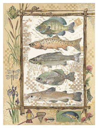Framed Fish Sampler Print