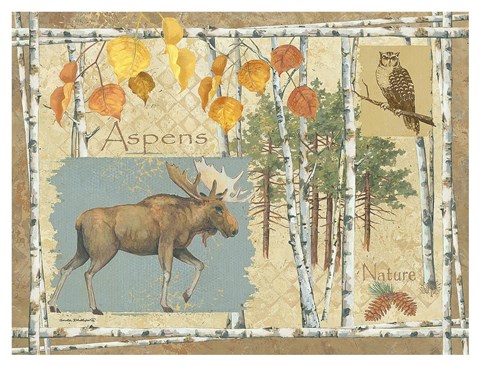 Framed Moose and Aspens Print