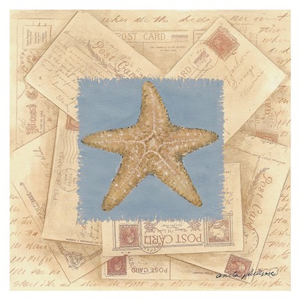 Framed Starfish Postcard I Print