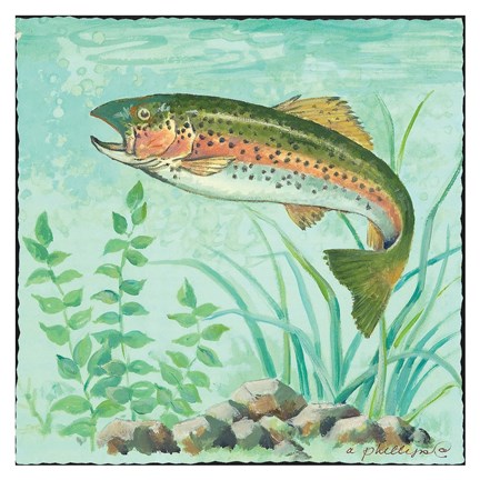 Framed Trout Swimming Print