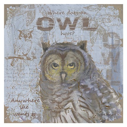 Framed Where Does an Owl Hoot Print