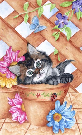 Framed Trellis Kitty Print