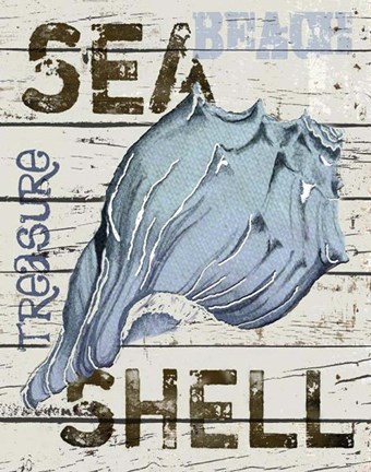 Framed Blue Seashell Print