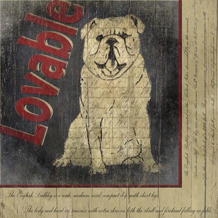 Framed Bull Dog II Print
