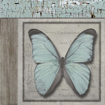 Framed Butterfly Blue Print