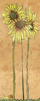 Framed Daisy&#39;s Print