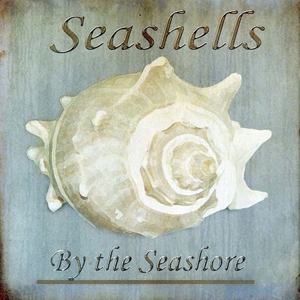 Framed Seashells by the Seashore I Print