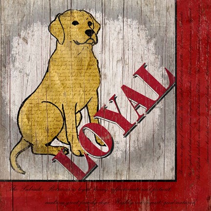 Framed Labrador Retriever II Print