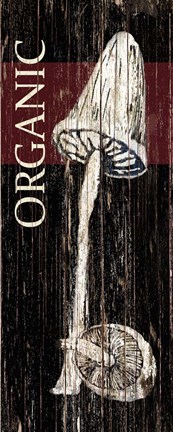 Framed Organic Mushroom Print