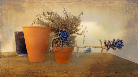 Framed Clay Pots b Print