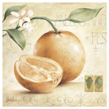 Framed C. Ancilotti - Arancia Print