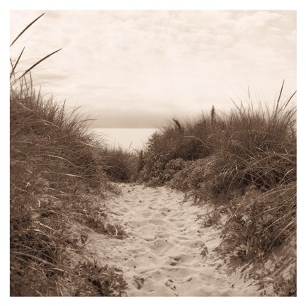 Framed Dune Path Print