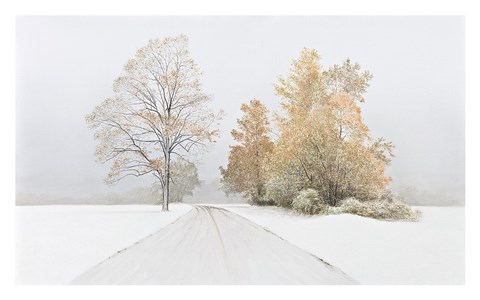 Framed Autumn Snowfall Print