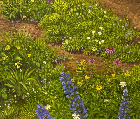 Framed Closeup 5 Print