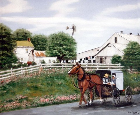 Framed Amish Country 1 Print