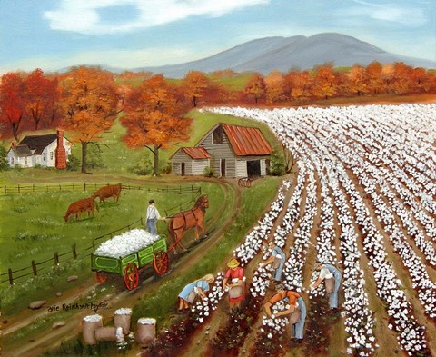 Framed Cotton Field and Baker&#39;s Mtn Print